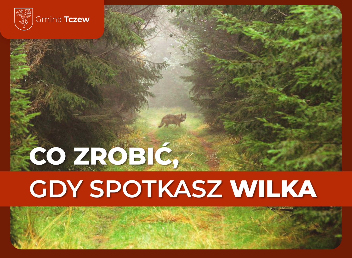 Tu powinien być opis.