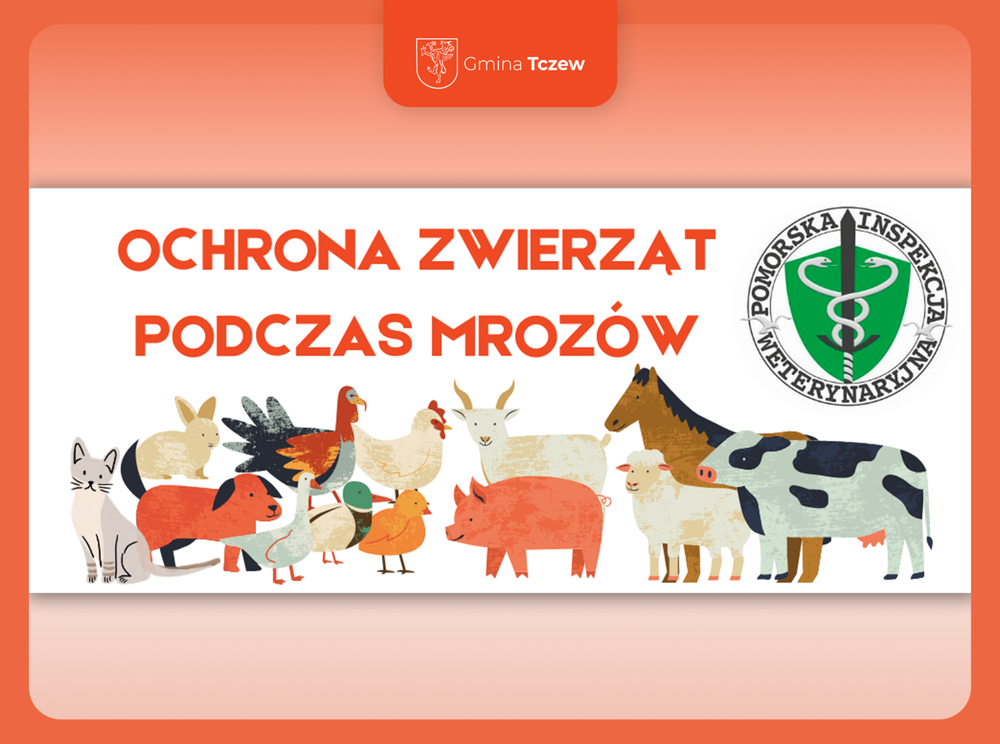 Tu powinien być opis.