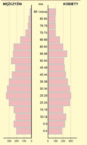 piramida_wiekujpg [300x500]