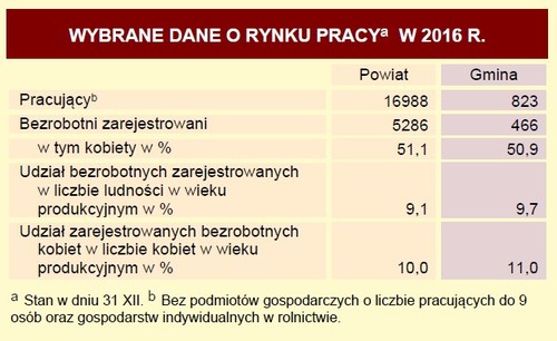 rynek_pracyjpg [500x306]