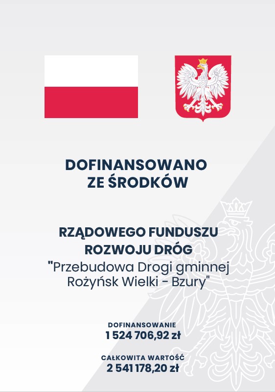 przebudowa_drogi_gminnej_rozynsk_wielki__bzury.jpg [562x800]