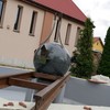  (link otworzy duże zdjęcie)