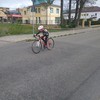  (link otworzy duże zdjęcie)