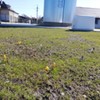  (link otworzy duże zdjęcie)