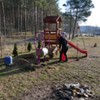  (link otworzy duże zdjęcie)