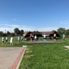  (link otworzy duże zdjęcie)
