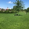  (link otworzy duże zdjęcie)
