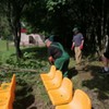  (link otworzy duże zdjęcie)