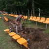  (link otworzy duże zdjęcie)