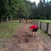  (link otworzy duże zdjęcie)
