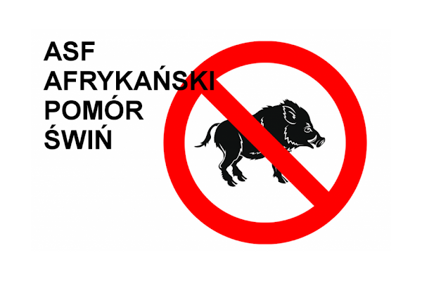 (link otworzy duże zdjęcie)