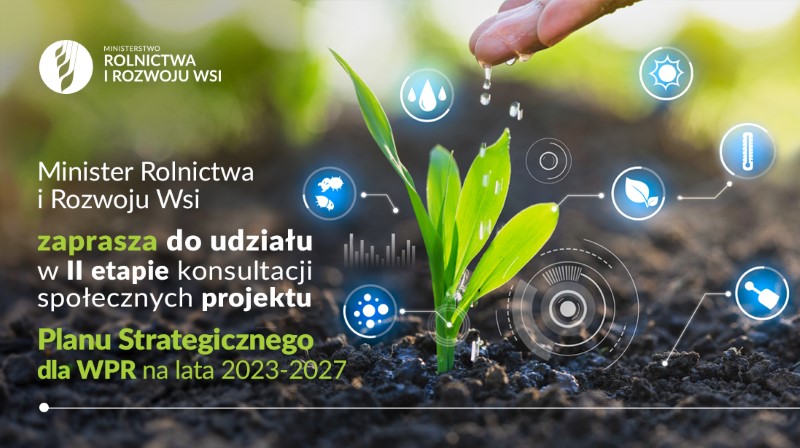 (link otworzy duże zdjęcie)