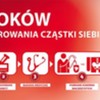  (link otworzy duże zdjęcie)
