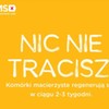  (link otworzy duże zdjęcie)