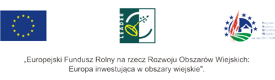  (link otworzy duże zdjęcie)