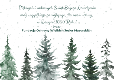  (link otworzy duże zdjęcie)