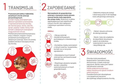  (link otworzy duże zdjęcie)