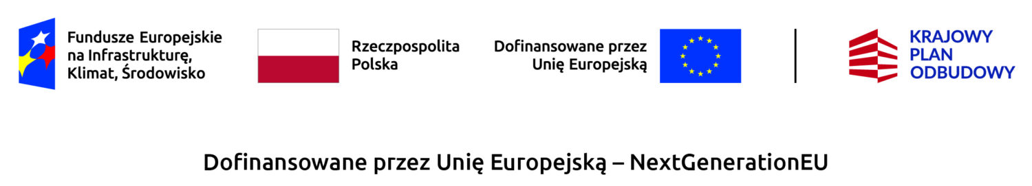 (link otworzy duże zdjęcie)