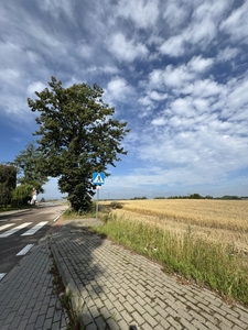  (link otworzy duże zdjęcie)