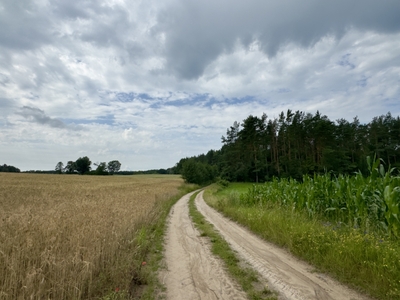  (link otworzy duże zdjęcie)
