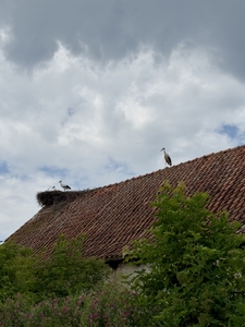  (link otworzy duże zdjęcie)