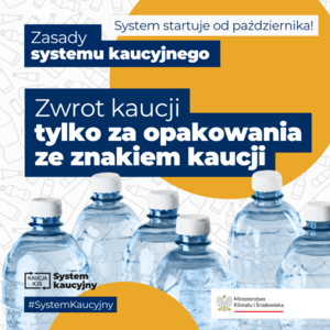  (link otworzy duże zdjęcie)