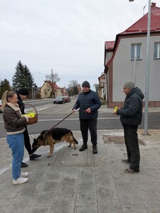  (link otworzy duże zdjęcie)