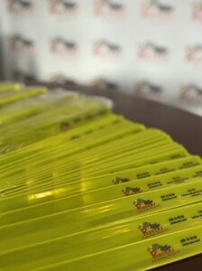  (link otworzy duże zdjęcie)