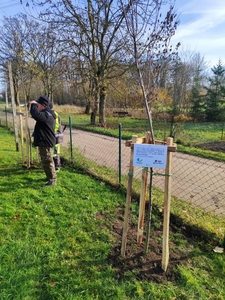  (link otworzy duże zdjęcie)