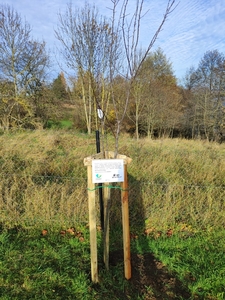  (link otworzy duże zdjęcie)