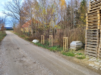  (link otworzy duże zdjęcie)