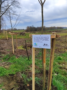  (link otworzy duże zdjęcie)