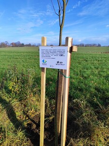  (link otworzy duże zdjęcie)