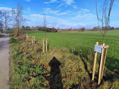  (link otworzy duże zdjęcie)