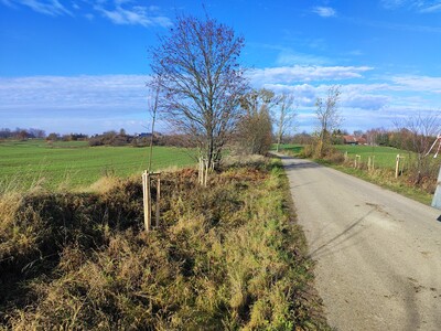  (link otworzy duże zdjęcie)