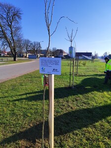  (link otworzy duże zdjęcie)