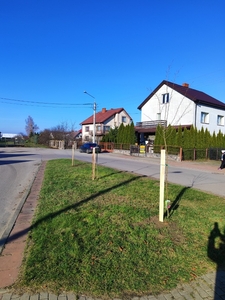  (link otworzy duże zdjęcie)