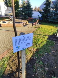  (link otworzy duże zdjęcie)