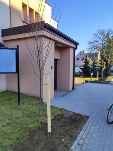  (link otworzy duże zdjęcie)