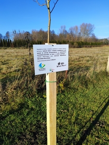  (link otworzy duże zdjęcie)