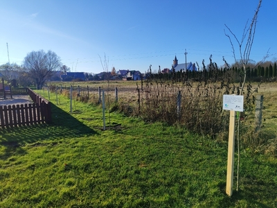  (link otworzy duże zdjęcie)