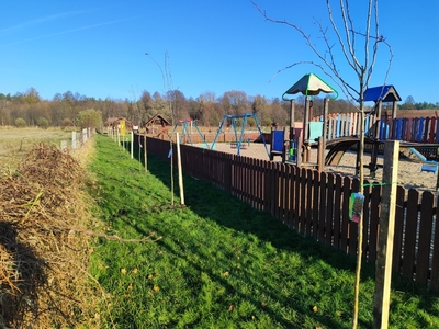  (link otworzy duże zdjęcie)