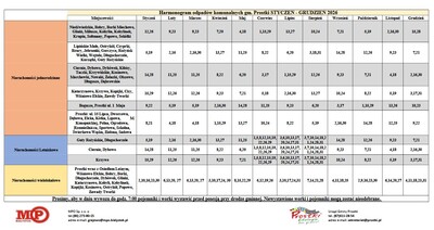  (link otworzy duże zdjęcie)